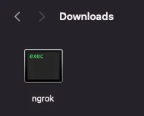 Extract the ngrok executable