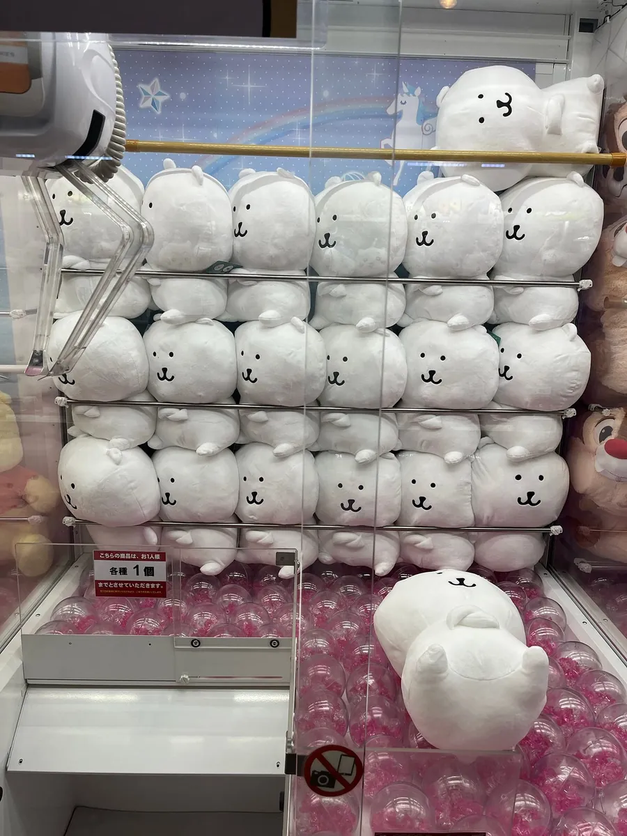 游乐场有对自己吐槽的白熊!!