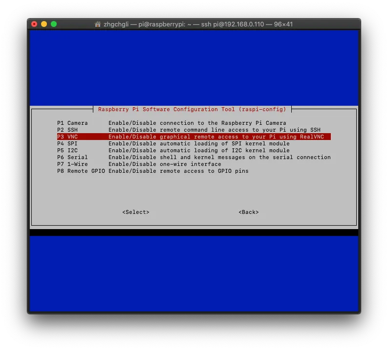 Select the third option "**P3 VNC**"
