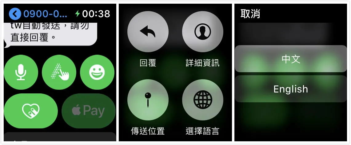 Press and hold the "Microphone" or "Handwriting" icon in the message to open the menu > "Select Language" -> "Chinese"