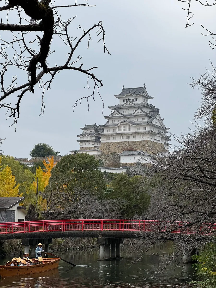 <https://youtube.com/shorts/XDquPOanhpQ>{:target="_blank"}