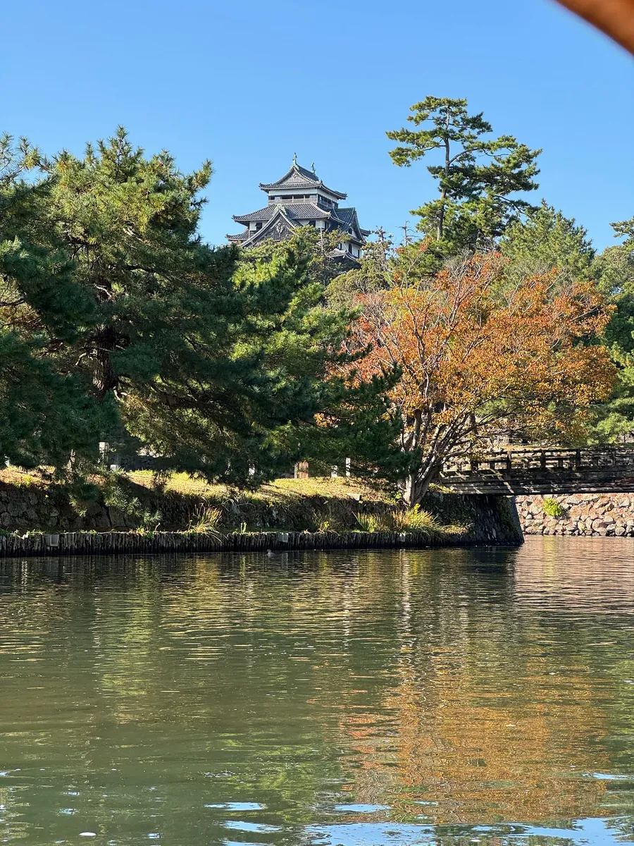 <https://youtube.com/shorts/KA9xKZV16bk>{:target="_blank"}